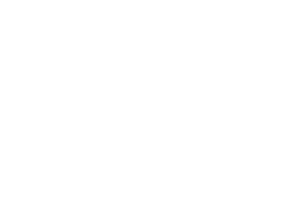 47. REGIONALNA DOMIJADA